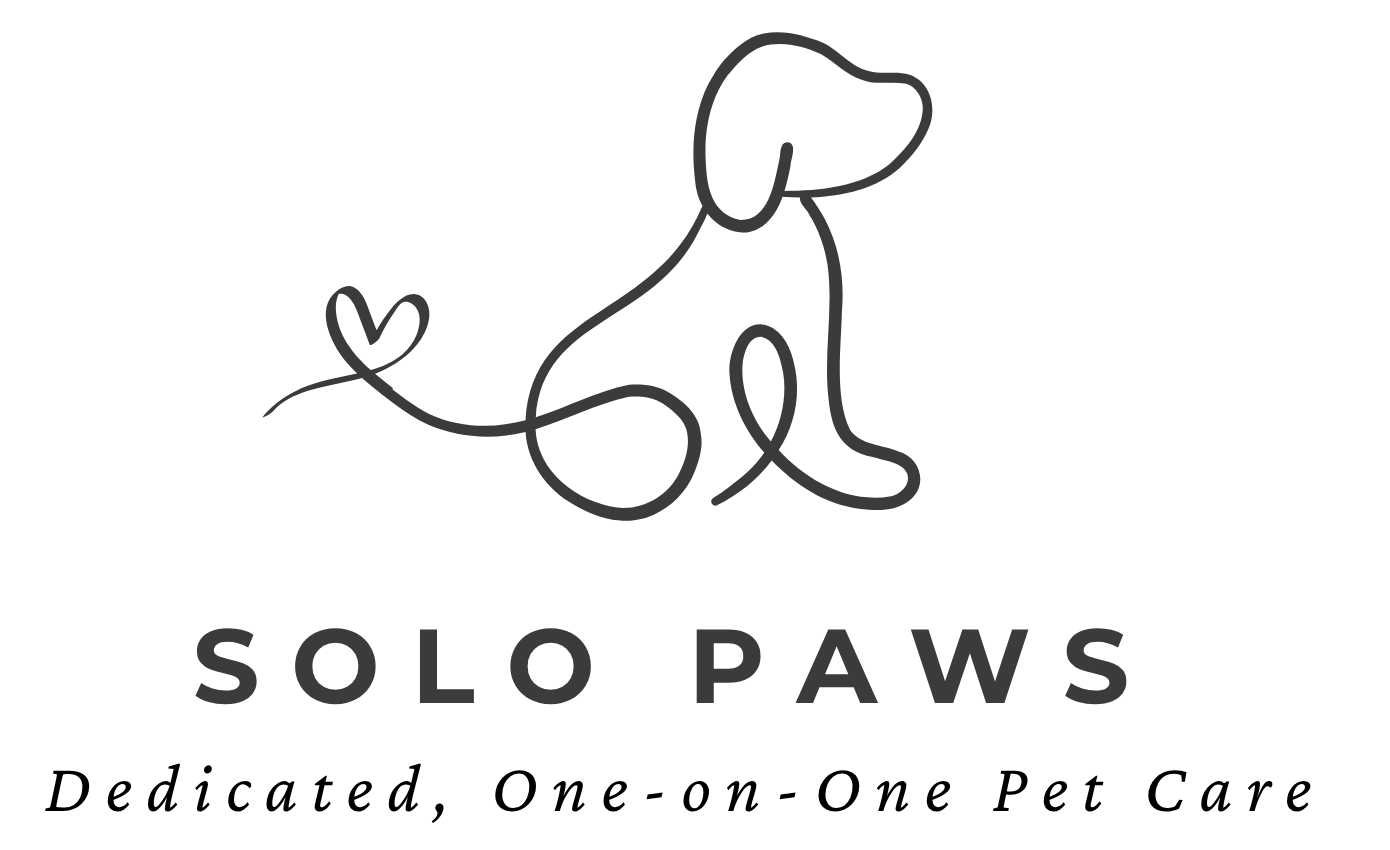 solo paws services